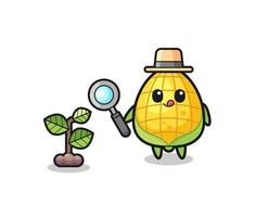 cute corn herbalist researching a plants vector