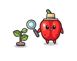 cute red bell pepper herbalist researching a plants vector