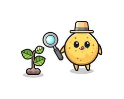 cute potato chip herbalist researching a plants vector