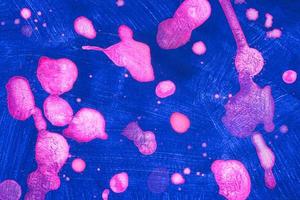 abstract acrylic art with neon magenta drops on the ultramarine background photo