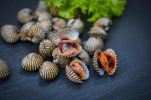 Cockles with vegetable salad lettuce on dark plate background, Fresh raw shellfish blood cockle ocean gourmet seafood in the restaurant photo