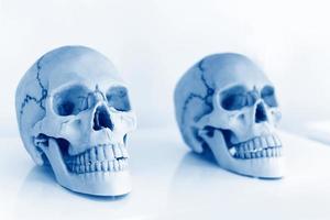 Human skull for study in the science room - Research and experimentation of students or doctors skulls are also symbols of death horror and Halloween concept photo