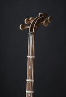 ancient Asian stringed musical instrument on black background with backlight. tuning peg photo