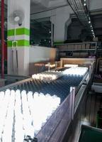 workshop for testing and verification, and packaging of halogen lamps on the assembly line photo