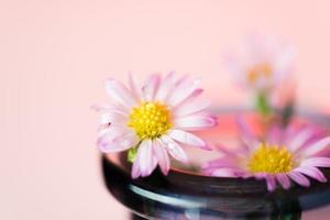 beautiful flowers background for your design with the selective focus photo