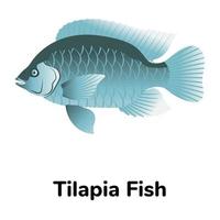 A freshwater fish flat icon vector