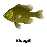 un icono plano de peces de agua dulce vector