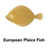 A freshwater fish flat icon vector