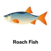 A freshwater fish flat icon vector