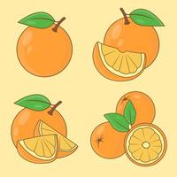 Orange set bundle isolated on soft yellow background. Vector illustration