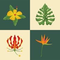 cuatro plantas tropicales y exóticas vector