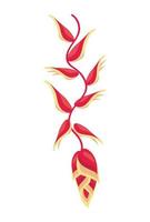 exotic heliconia flower vector