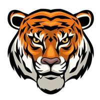 Bengal tiger front head
