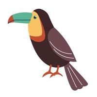 toucan exotic bird vector