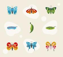 nueve mariposas y orugas vector
