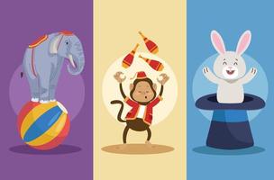 three animals circus characters vector