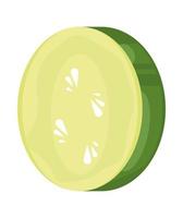 fresh sliced cucumber vector