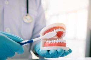 Close up of hand dentist is holding dentures jaw showing how to brush the teeth. photo