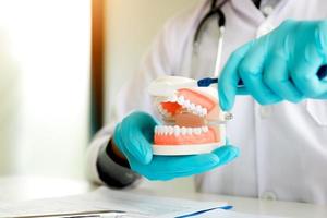 un dentista asiático sostiene una dentadura postiza que muestra cómo cepillarse los dientes.