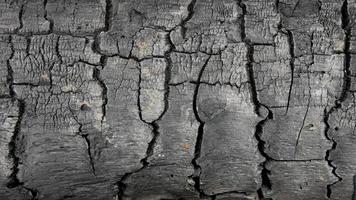 textura de madera quemada negra, fondo de carbón negro foto