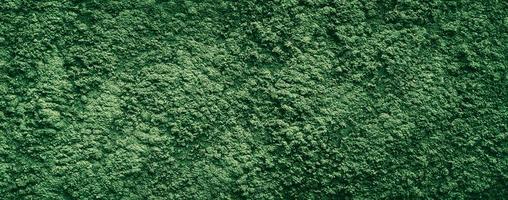 green abstract texture cement concrete wall background photo