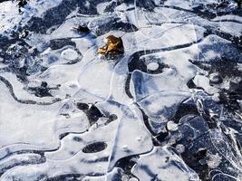 detalle de hielo agrietado de invierno con hoja caída foto