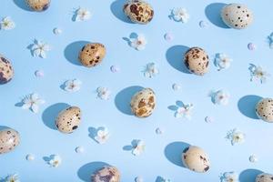 Minimalistic Flat lay, top view composition with   easter eggs and cherry flowers pattern on blue background. Trendy minimal style photo