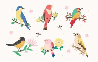 Set of Spring Birds on the Branches vector