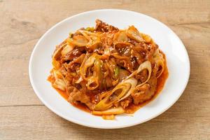 stir-fried pork with Korean spicy paste and kimchi photo