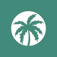 cocnut tree icon vector