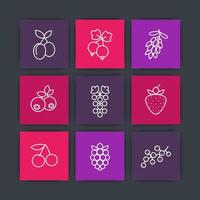 Berries line icons set, raspberry, blueberry, cherry, grape, barberry, plums, strawberry, currant, cranberry harvest, vector illustration