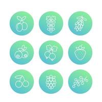 Berries line icons, raspberry, blueberry, cherry, grape, barberry, plums, strawberry, currant vector