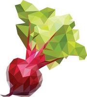 Bit fruit illustration Low poly style on white background, Bit fruit vector isolated