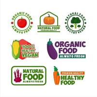 Healthy Food Organic Natural Vector Design