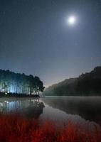 Scenic pine forest light shine with the moon on reservoir at night photo