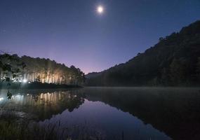 la luz del bosque de pinos brilla con la luna en el embalse al amanecer foto