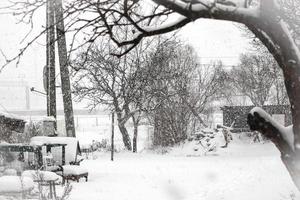 árboles sin hojas, casas y setos en ventisca de nieve de invierno foto