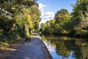 Empty bench on footpath with green trees beside river in park photo