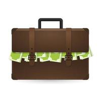 Browe briefcase with money. Vector illustration