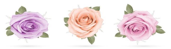 Rose bouquet isolated on white background vector