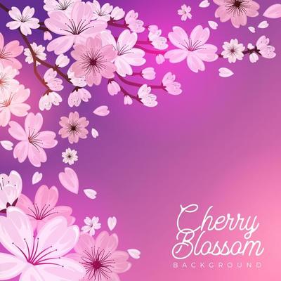 Cherry Blossom Floral Frame Background