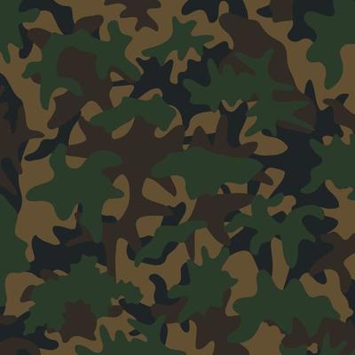 dark woodland jungle leaves battlefield terrain abstract camouflage stripes pattern military background suitable for print cloth