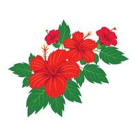 flores de hibisco rojo en un arreglo tropical aislado en blanco vector