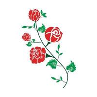 Rose on branch on white background. Isolated floral elements. Red flower and green leaves vector