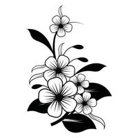 Magnolia flowers drawing and sketch with line-art on white backgrounds. vector