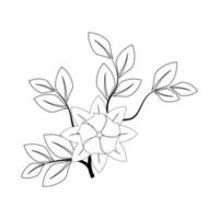 Isolated vector illustration. Floral branch with two flowers. Folk style. Black and white linear silhouette.