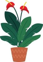 strelitzia reginae, flor o ave del paraíso. hojas verdes, ramo de flores de naranja y violeta. planta con flores de sudáfrica en florero. ilustración vectorial aislado sobre fondo blanco vector
