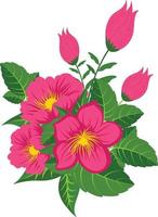 Bouquet with red and pink zinnia isolated on white background vector