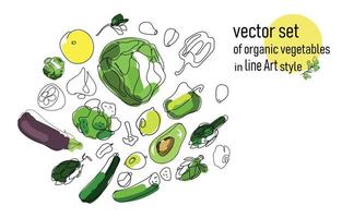 Art line set of vegetables and fruits, round composition, cabbage, eggplant, lemon, rosemary, artichokes, cucumbers, garlic, avocado and so on, Healthy food concept, vegan set isolated on white backgr vector