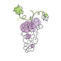 arte de línea racimo de uvas en estilo garabato aislado sobre fondo blanco. boceto de muestra artística. alimentos frescos y saludables. estilo de dibujo lineal. arte abstracto natural. Ilustración de vector de comida dulce